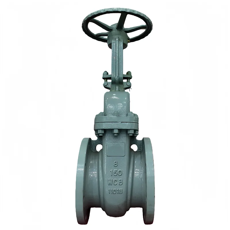 Carbon Steel ANSI Flange Heke Valve
