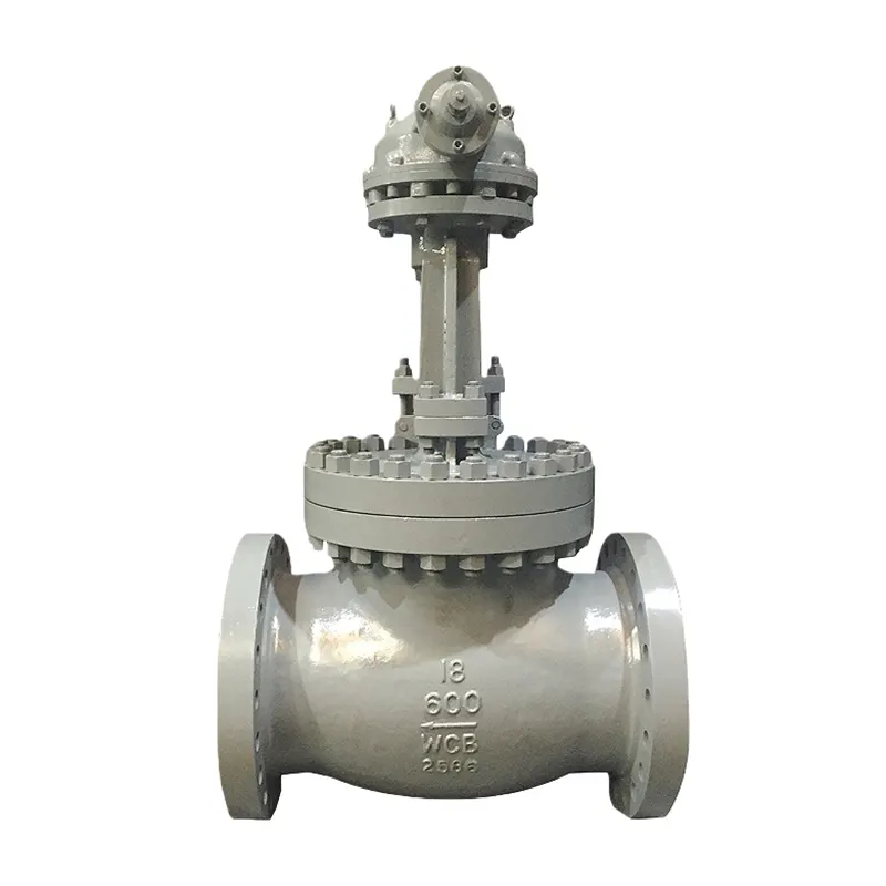 Valve ea Globe e hanyetsanang le Corrosion