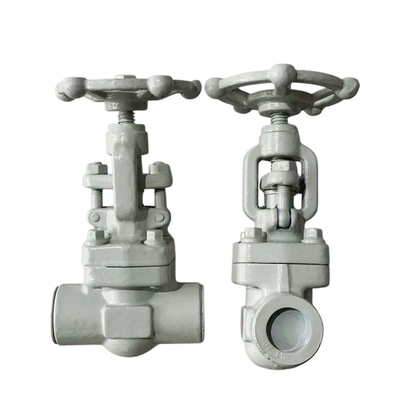 Socket-welded Forged Heke Valve